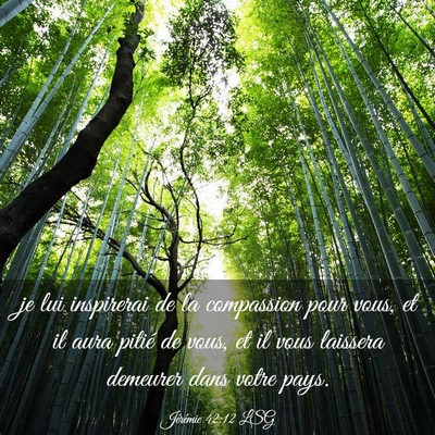 Picture 03 - Jérémie 42:12 LSG - je lui inspirerai de la compassion pour vous, et - Bible Verse Picture