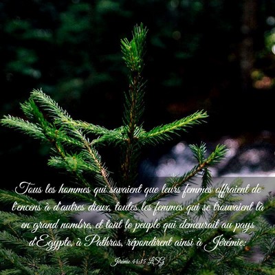 Picture 03 - Jérémie 44:15 LSG - Tous les hommes qui savaient que leurs femmes - Bible Verse Picture