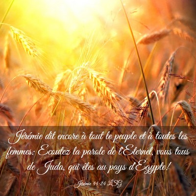 Picture 03 - Jérémie 44:24 LSG - Jérémie dit encore à tout le peuple et à - Bible Verse Picture