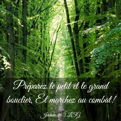 Picture 03 - Jérémie 46:3 LSG - Préparez le petit et le grand bouclier, Et - Bible Verse Picture