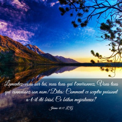Picture 03 - Jérémie 48:17 LSG - Lamentez-vous sur lui, vous tous qui - Bible Verse Picture