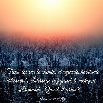Picture 03 - Jérémie 48:19 LSG - Tiens-toi sur le chemin, et regarde, habitante - Bible Verse Picture