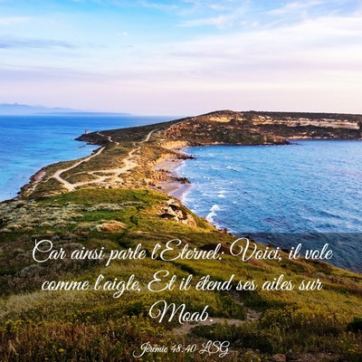 Picture 03 - Jérémie 48:40 LSG - Car ainsi parle l'Eternel: Voici, il vole comme - Bible Verse Picture