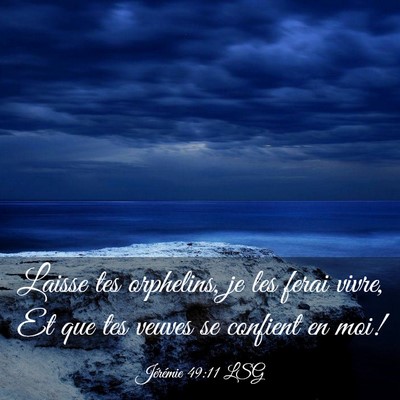 Picture 03 - Jérémie 49:11 LSG - Laisse tes orphelins, je les ferai vivre, Et que - Bible Verse Picture