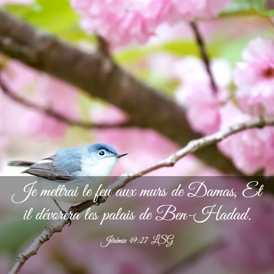 Picture 03 - Jérémie 49:27 LSG - Je mettrai le feu aux murs de Damas, Et il - Bible Verse Picture