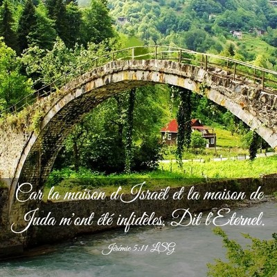 Picture 03 - Jérémie 5:11 LSG - Car la maison d'Israël et la maison de Juda - Bible Verse Picture