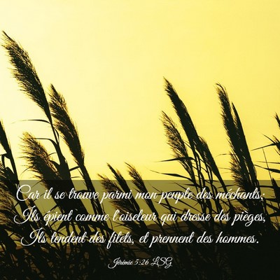 Picture 03 - Jérémie 5:26 LSG - Car il se trouve parmi mon peuple des méchants; - Bible Verse Picture