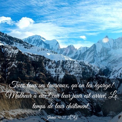 Picture 03 - Jérémie 50:27 LSG - Tuez tous ses taureaux, qu'on les égorge! - Bible Verse Picture