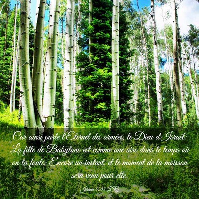Picture 03 - Jérémie 51:33 LSG - Car ainsi parle l'Eternel des armées, le Dieu - Bible Verse Picture