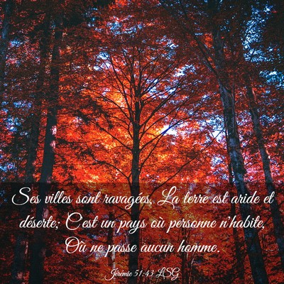 Picture 03 - Jérémie 51:43 LSG - Ses villes sont ravagées, La terre est aride et - Bible Verse Picture