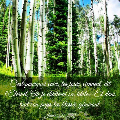 Picture 03 - Jérémie 51:52 LSG - C'est pourquoi voici, les jours viennent, dit - Bible Verse Picture