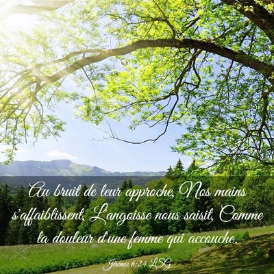 Picture 03 - Jérémie 6:24 LSG - Au bruit de leur approche, Nos mains - Bible Verse Picture