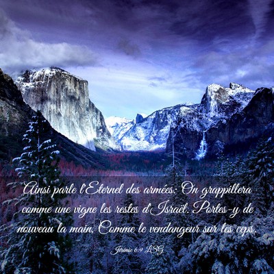 Picture 03 - Jérémie 6:9 LSG - Ainsi parle l'Eternel des armées: On grappillera - Bible Verse Picture
