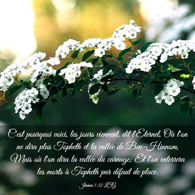 Picture 03 - Jérémie 7:32 LSG - C'est pourquoi voici, les jours viennent, dit - Bible Verse Picture