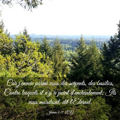 Picture 03 - Jérémie 8:17 LSG - Car j'envoie parmi vous des serpents, des - Bible Verse Picture