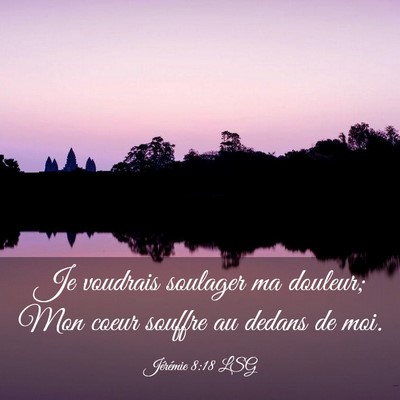 Picture 03 - Jérémie 8:18 LSG - Je voudrais soulager ma douleur; Mon coeur - Bible Verse Picture