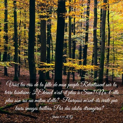 Picture 03 - Jérémie 8:19 LSG - Voici les cris de la fille de mon peuple - Bible Verse Picture