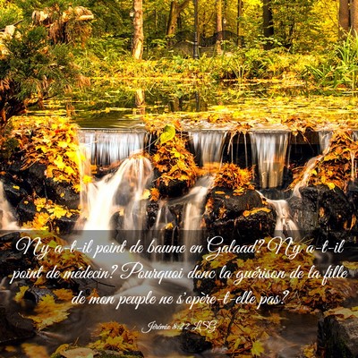 Picture 03 - Jérémie 8:22 LSG - N'y a-t-il point de baume en Galaad? N'y a-t-il - Bible Verse Picture