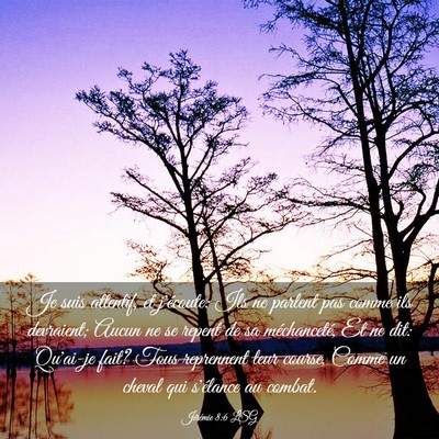 Picture 03 - Jérémie 8:6 LSG - Je suis attentif, et j'écoute: Ils ne parlent - Bible Verse Picture