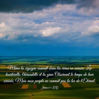 Picture 03 - Jérémie 8:7 LSG - Même la cigogne connaît dans les cieux sa - Bible Verse Picture
