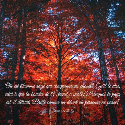 Picture 03 - Jérémie 9:12 LSG - Où est l'homme sage qui comprenne ces choses? - Bible Verse Picture