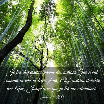 Picture 03 - Jérémie 9:16 LSG - Je les disperserai parmi des nations Que n'ont - Bible Verse Picture