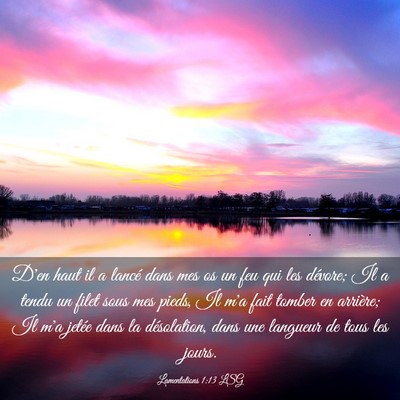 Picture 03 - Lamentations 1:13 LSG - D'en haut il a lancé dans mes os un feu qui les - Bible Verse Picture