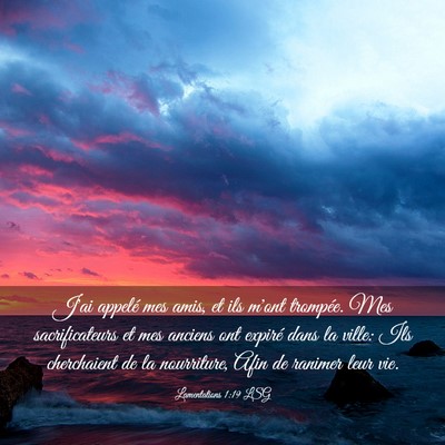 Picture 03 - Lamentations 1:19 LSG - J'ai appelé mes amis, et ils m'ont trompée. Mes - Bible Verse Picture