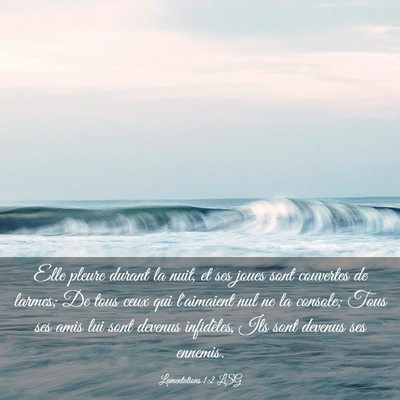 Picture 03 - Lamentations 1:2 LSG - Elle pleure durant la nuit, et ses joues sont - Bible Verse Picture