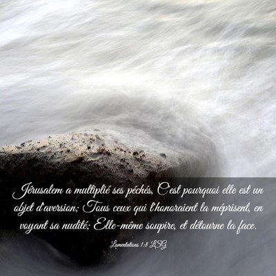 Picture 03 - Lamentations 1:8 LSG - Jérusalem a multiplié ses péchés, C'est - Bible Verse Picture