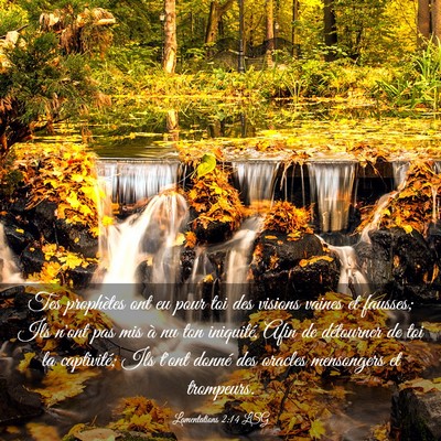 Picture 03 - Lamentations 2:14 LSG - Tes prophètes ont eu pour toi des visions vaines - Bible Verse Picture