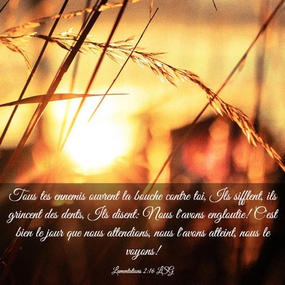 Picture 03 - Lamentations 2:16 LSG - Tous tes ennemis ouvrent la bouche contre toi, - Bible Verse Picture
