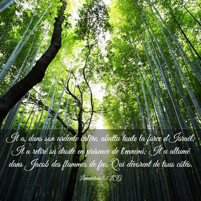 Picture 03 - Lamentations 2:3 LSG - Il a, dans son ardente colère, abattu toute la - Bible Verse Picture