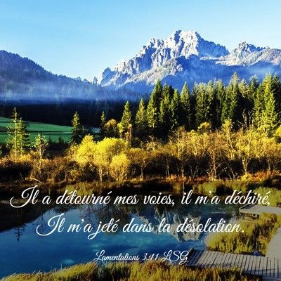 Picture 03 - Lamentations 3:11 LSG - Il a détourné mes voies, il m'a déchiré, Il - Bible Verse Picture