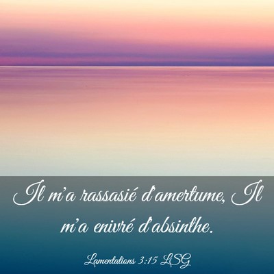 Picture 03 - Lamentations 3:15 LSG - Il m'a rassasié d'amertume, Il m'a enivré - Bible Verse Picture