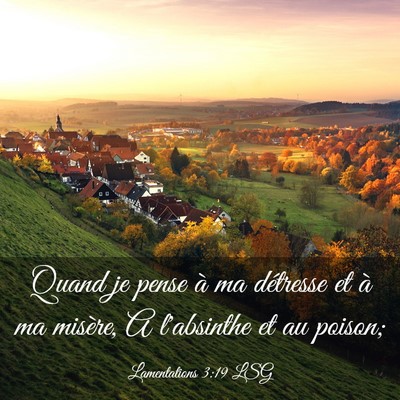 Picture 03 - Lamentations 3:19 LSG - Quand je pense à ma détresse et à ma misère, - Bible Verse Picture