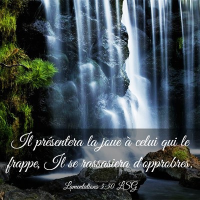 Picture 03 - Lamentations 3:30 LSG - Il présentera la joue à celui qui le frappe, Il - Bible Verse Picture