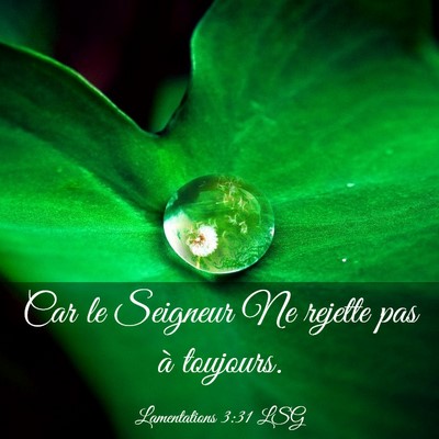 Picture 03 - Lamentations 3:31 LSG - Car le Seigneur Ne rejette pas à - Bible Verse Picture