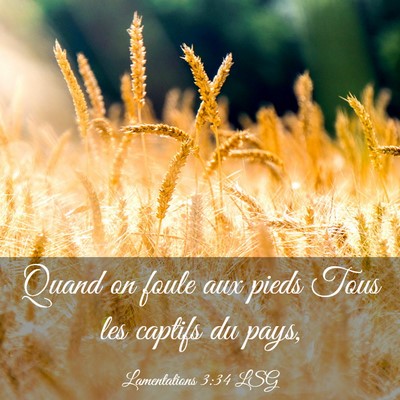 Picture 03 - Lamentations 3:34 LSG - Quand on foule aux pieds Tous les captifs du - Bible Verse Picture