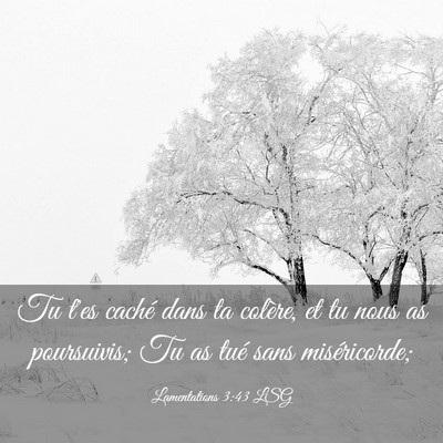 Picture 03 - Lamentations 3:43 LSG - Tu t'es caché dans ta colère, et tu nous as - Bible Verse Picture