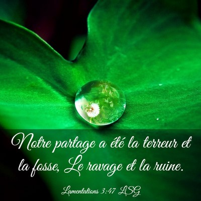 Picture 03 - Lamentations 3:47 LSG - Notre partage a été la terreur et la fosse, Le - Bible Verse Picture