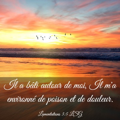 Picture 03 - Lamentations 3:5 LSG - Il a bâti autour de moi, Il m'a environné de - Bible Verse Picture
