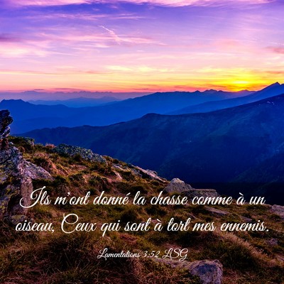 Picture 03 - Lamentations 3:52 LSG - Ils m'ont donné la chasse comme à un oiseau, - Bible Verse Picture