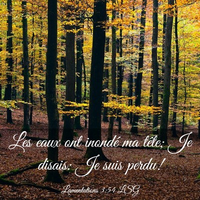Picture 03 - Lamentations 3:54 LSG - Les eaux ont inondé ma tête; Je disais: Je suis - Bible Verse Picture
