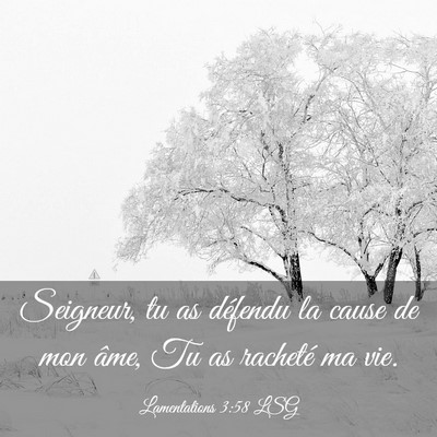 Picture 03 - Lamentations 3:58 LSG - Seigneur, tu as défendu la cause de mon âme, Tu - Bible Verse Picture