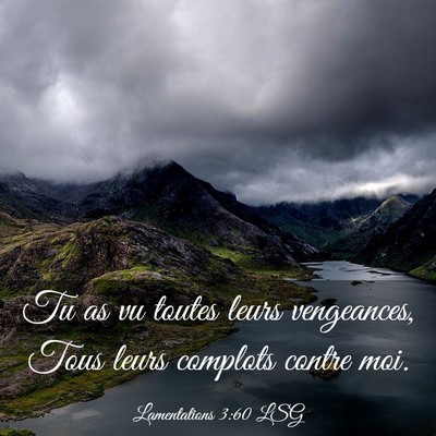 Picture 03 - Lamentations 3:60 LSG - Tu as vu toutes leurs vengeances, Tous leurs - Bible Verse Picture