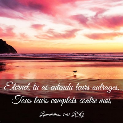 Picture 03 - Lamentations 3:61 LSG - Eternel, tu as entendu leurs outrages, Tous leurs - Bible Verse Picture