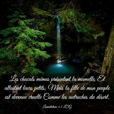 Picture 03 - Lamentations 4:3 LSG - Les chacals mêmes présentent la mamelle, Et - Bible Verse Picture