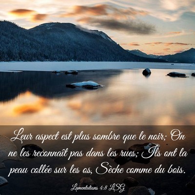 Picture 03 - Lamentations 4:8 LSG - Leur aspect est plus sombre que le noir; On ne - Bible Verse Picture
