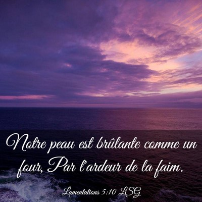 Picture 03 - Lamentations 5:10 LSG - Notre peau est brûlante comme un four, Par - Bible Verse Picture